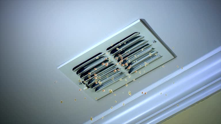Best Ventilation Cleaning Services  in Nescopeck, PA